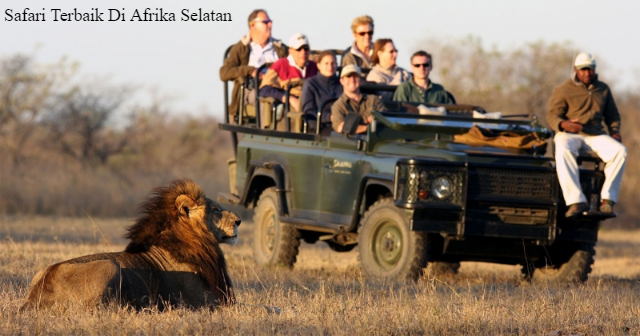 Safari Terbaik Di Afrika Selatan: Pengalaman Adrenalin Di Sudut Terliar Dunia